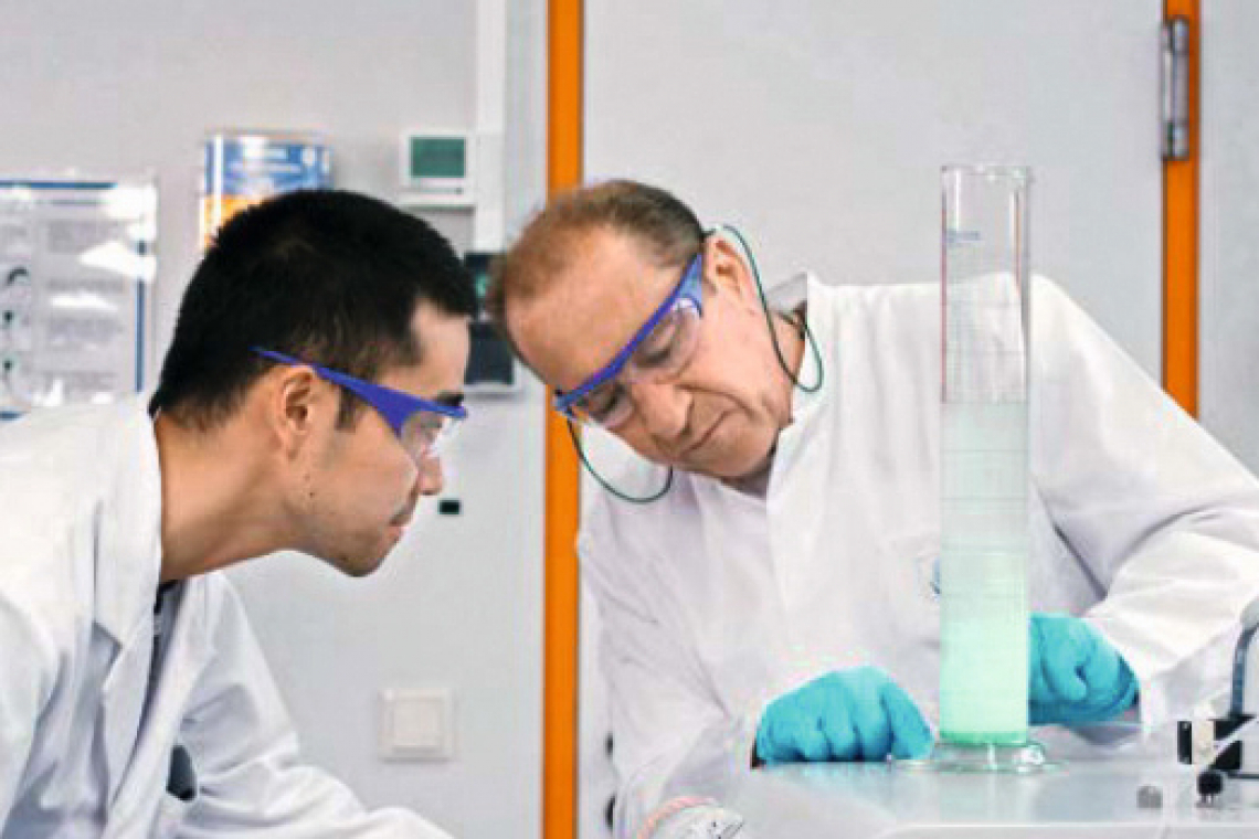 Natrium-Ionen-Batterien auf Basis nachwachsender Rohstoffe