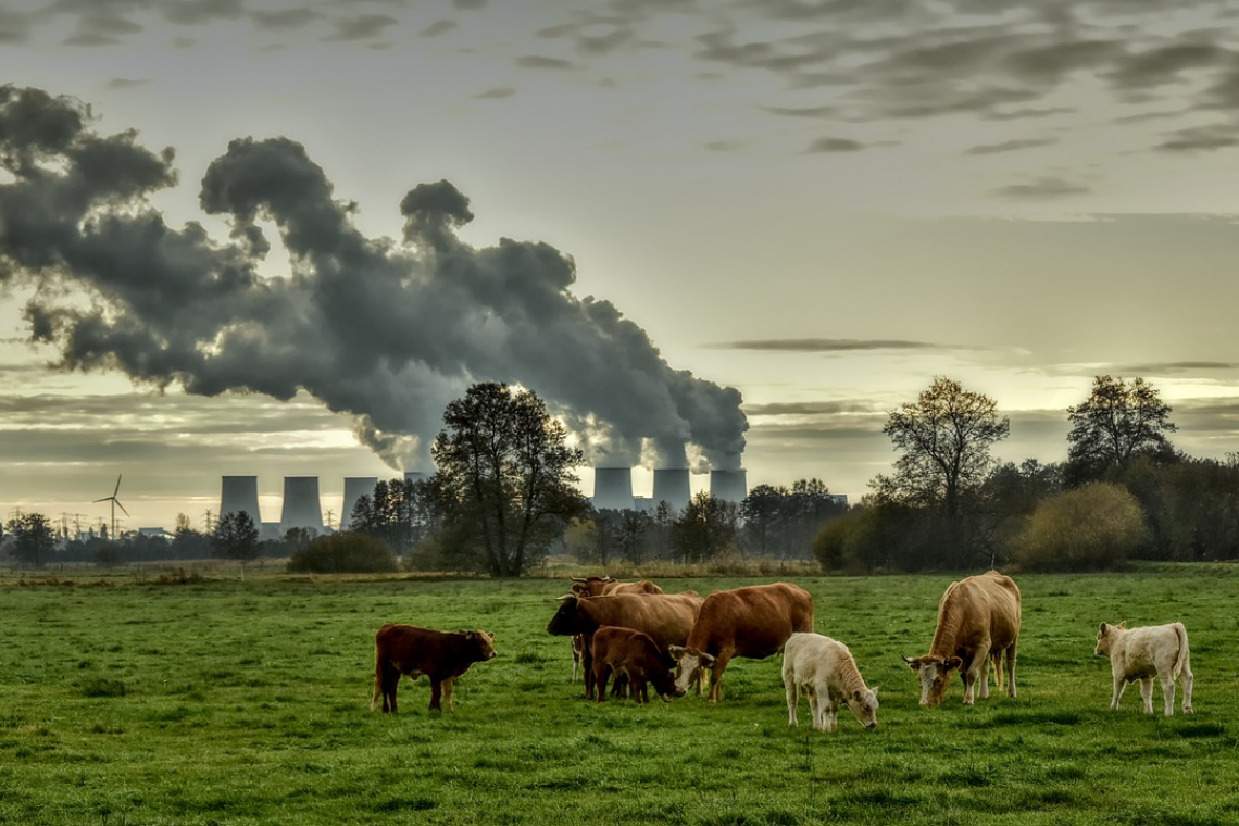 Climateaction - Pixabay.com/Peggychoucair