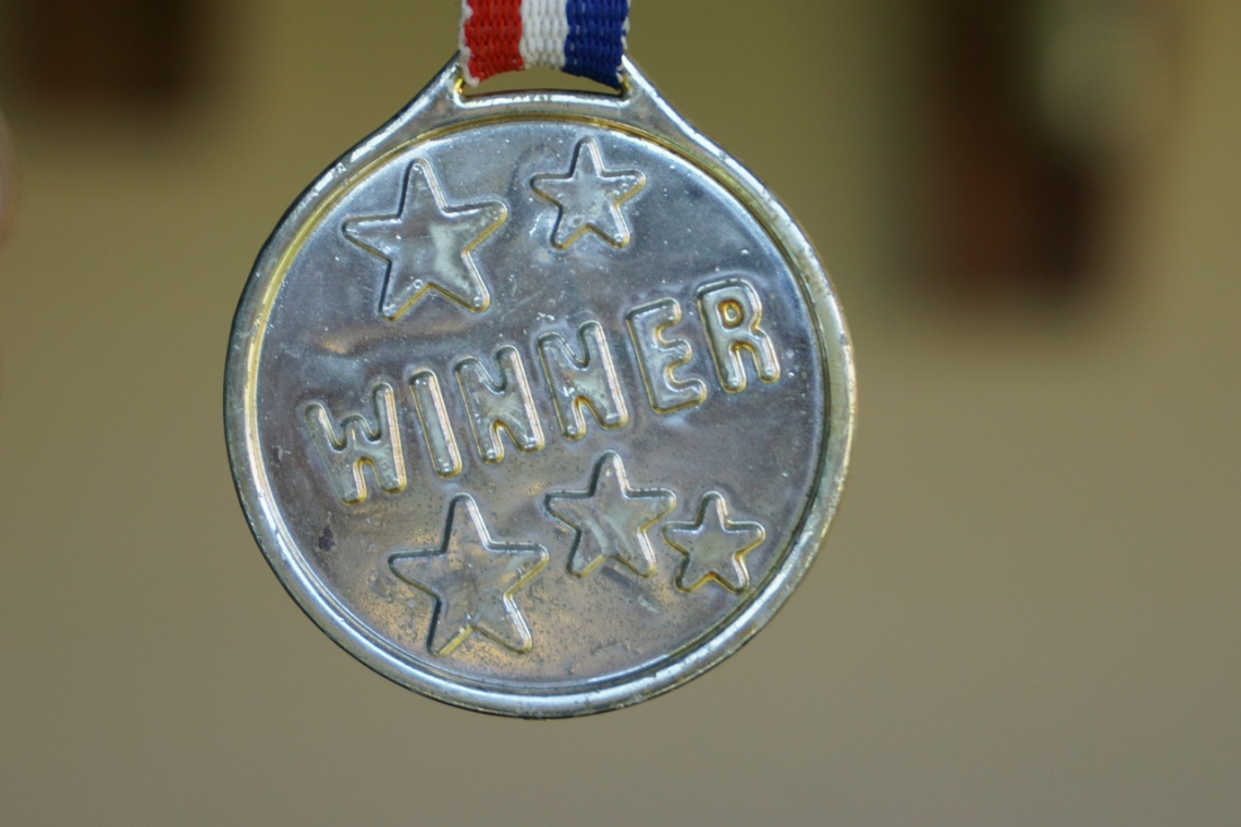 Winner - Pixabay.com/AxxLC