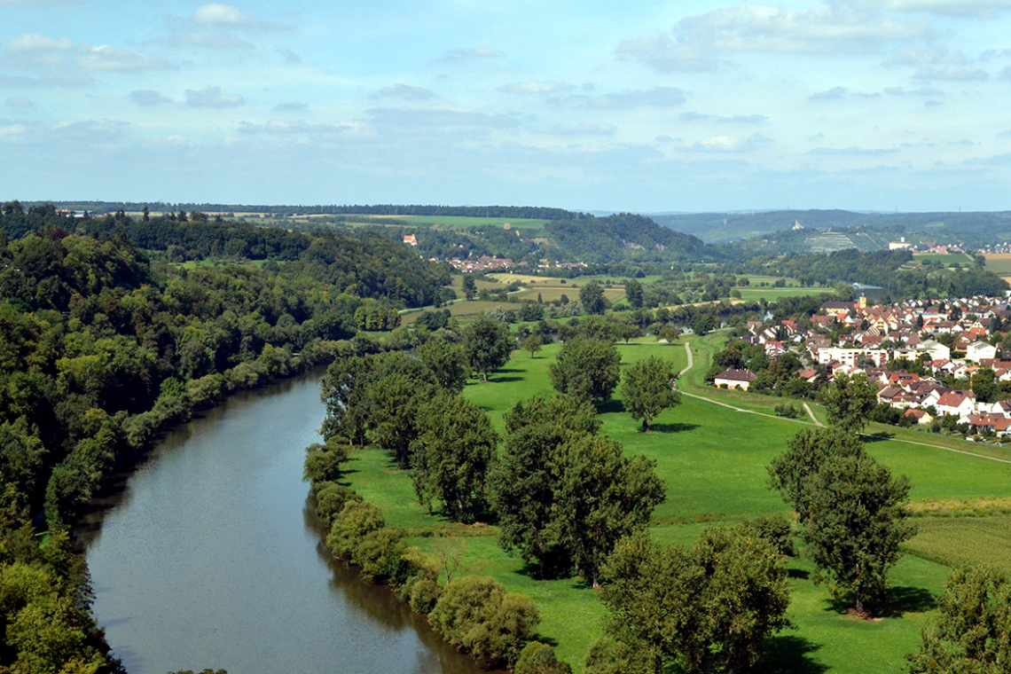 Neckar bei Bad Wimpfen - hier leitet die Firma Solvay mit behördlicher Genehmigung jeden Tag 24 kg TFA in den Fluss ein (Bild: Richard Gould/CC BY-SA 2.0)