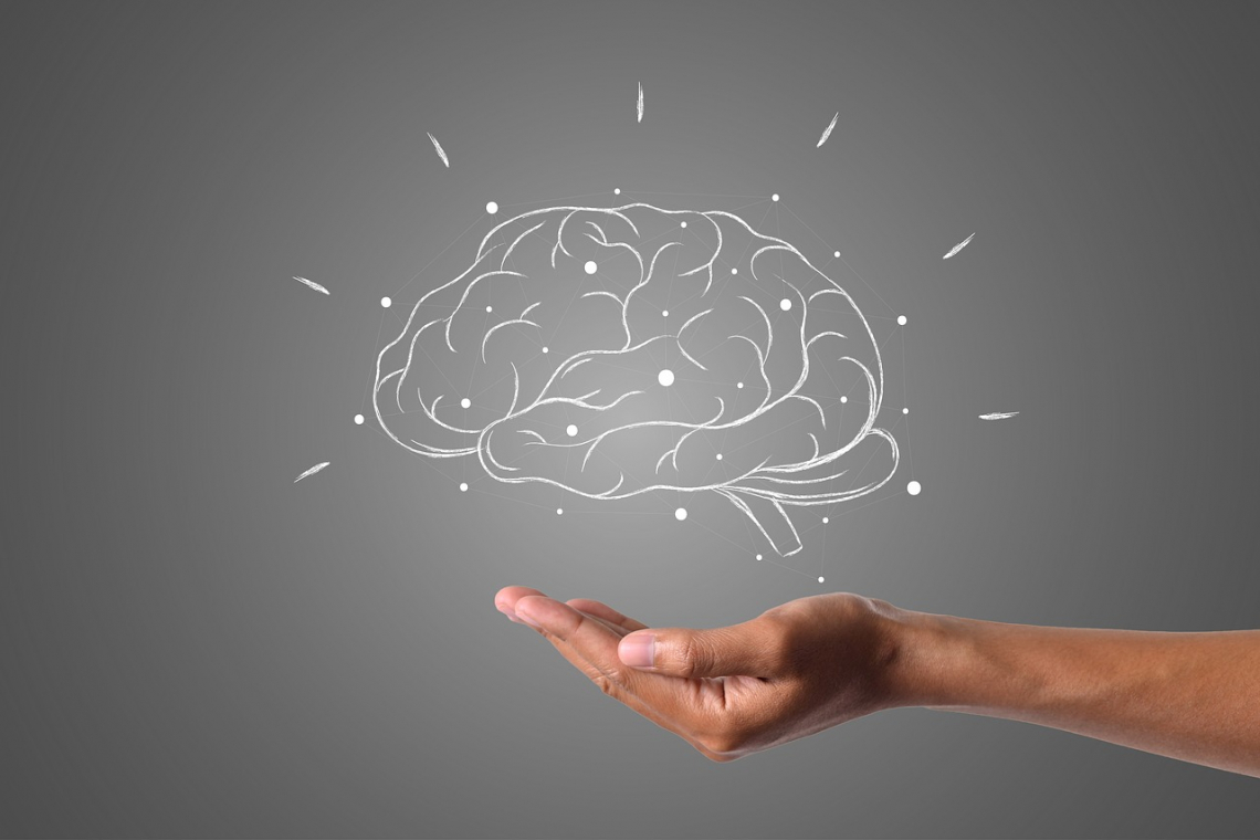 Brain - (Bild: Pixabay.com/hainguyenrp)