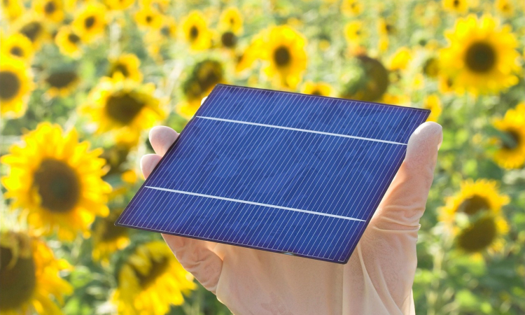 Klingenbeschichtung für Perowskit-Tandemsolarzellen