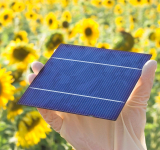Klingenbeschichtung für Perowskit-Tandemsolarzellen