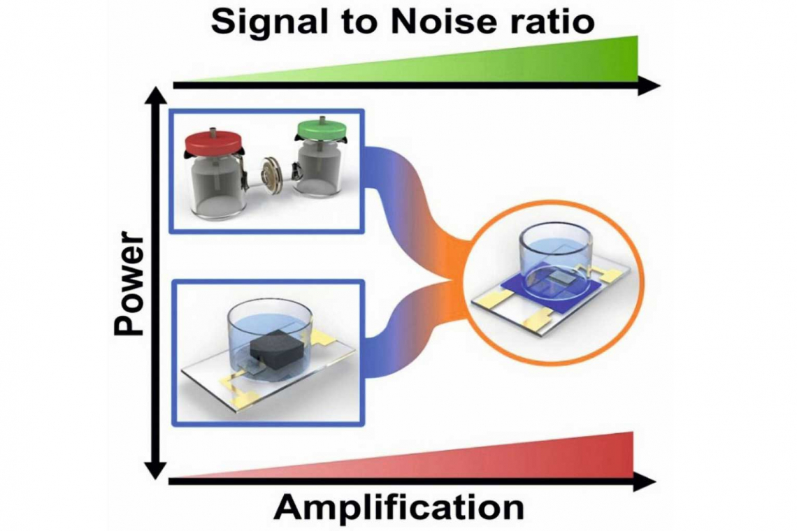 Fig. 1: Graphical overview of the OECT-based bioelectronic sensing system