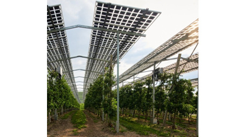 Verbandsgründung - Nachhaltige Agri-PV organisiert sich in Berlin