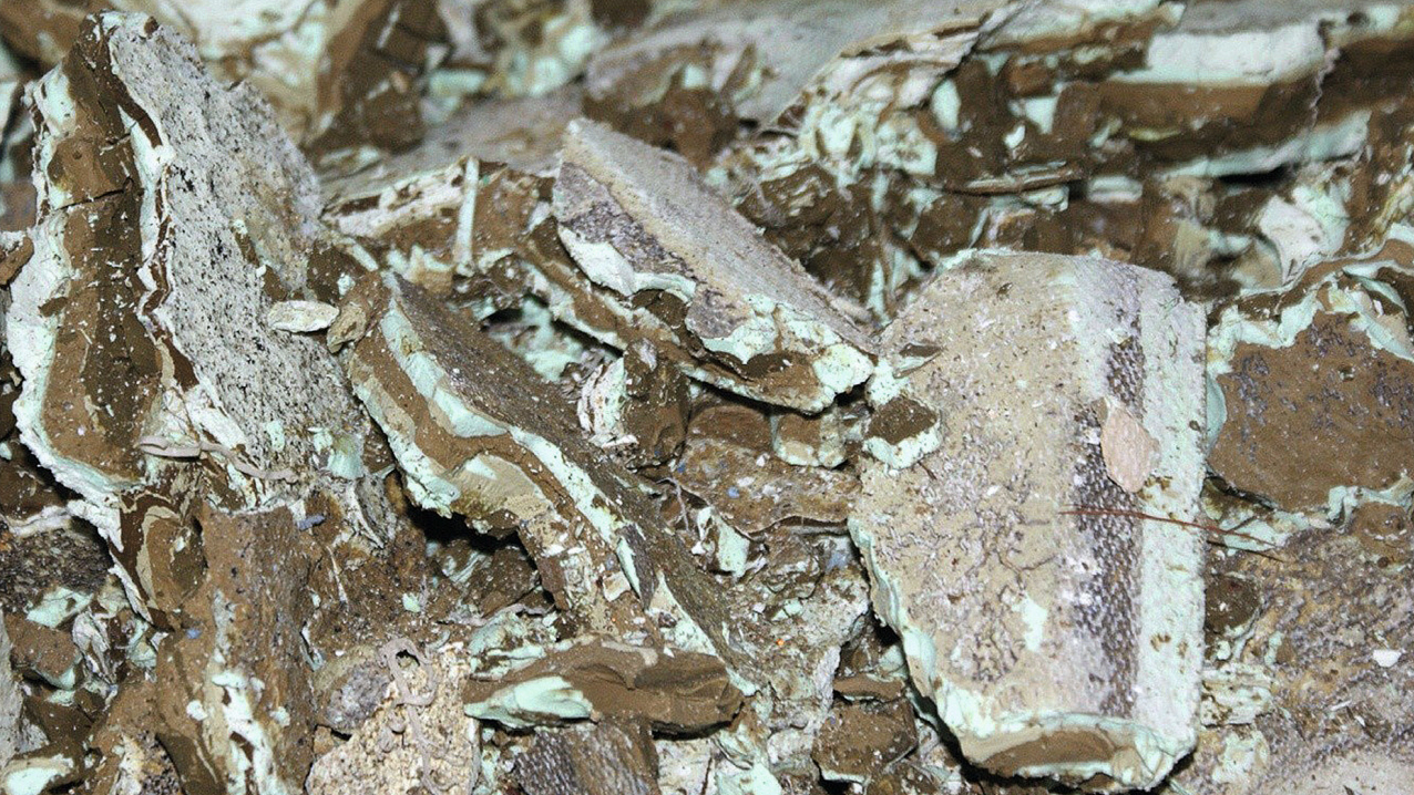 Entgiftung von Nickel, Kupfer und Cyaniden