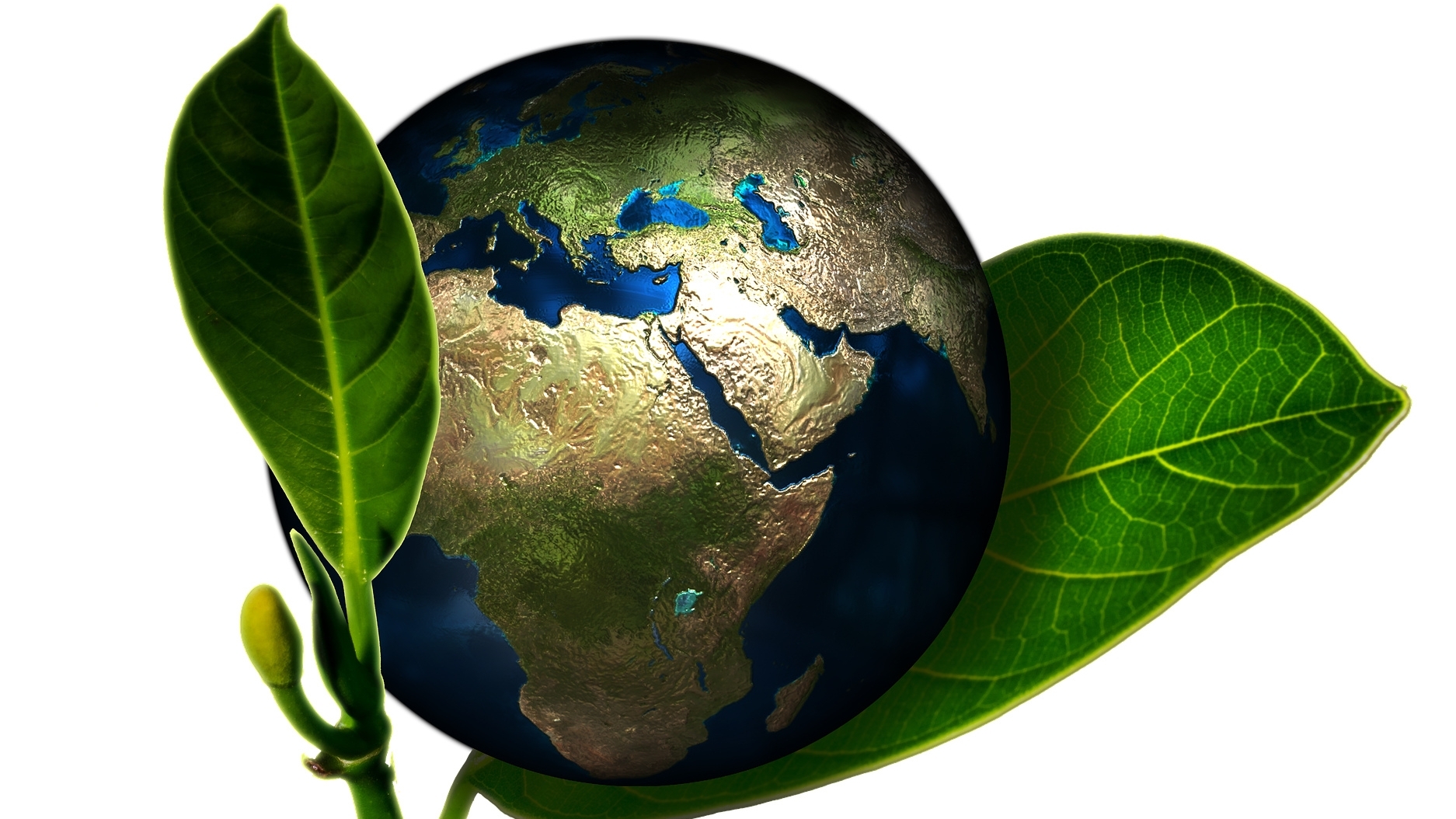 Eco-friendly anaphoretic e-coating for corrosion protection in aeronautic applications (Part 2)