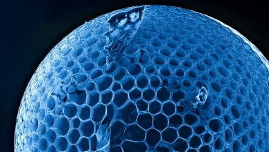 Ionenstrahlen erzeugen Nanostrukturen