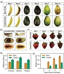 Obst-Reifung ohne und mit der entwickelten Beschichtung