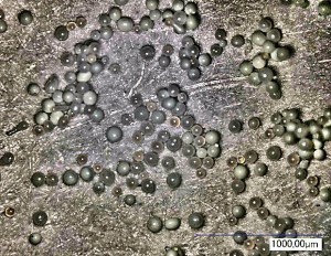 Abb. 8: Keramikperlen mit einer mittleren Korngröße von 95 µm