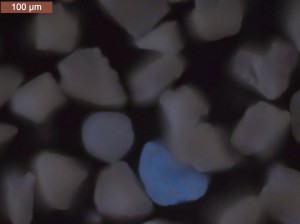 Abb. 2b: Pulverlackpartikel unter dem Fluoreszenzmikroskop: fluoreszierende PVC-Partikel 