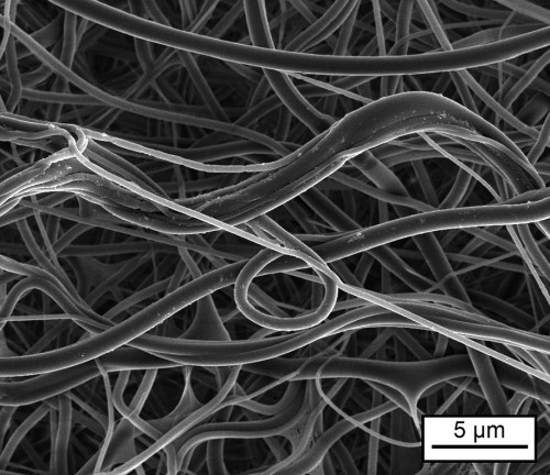 Mikrostruktur eines Tropoelastin-Vlieses, das mit Formaldehyd vernetzt worden ist (Aufnahme im Rasterelektronenmikroskop). 