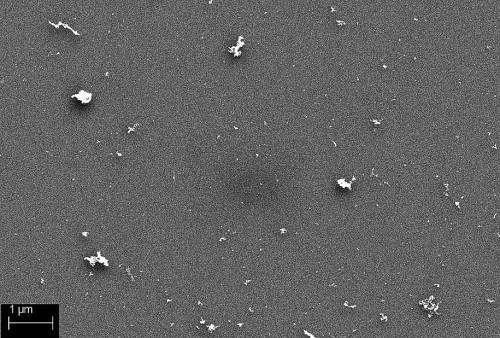 Abb. 3: REM-Aufnahme der Palladiumpartikel auf Silicium-Wafer nach chemischer Bekeimung