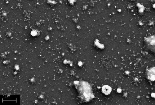 Abb. 2: REM-Aufnahme der Palladiumpartikel auf Silicium-Wafer nach direct-Modus (links) und remote-Modus (rechts) Bekeimung