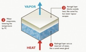 Abb. 3: Die Verdunstungskühlung imitiert die Kamelhaut 