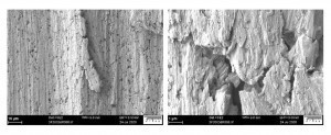 Abb. 13: REM-Oberflächenaufnahmen einer Ag-hBN-Reibspur 