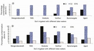 Prozentuale Darstellung der Muster über (a) EU-Grenzwerte und (b) IS-Grenzwerte in Gemüse, die mit Seenwasser aus verschiedenen Seen bewässert wurden