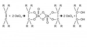 Abb. 11: OsO4-Katalyse zur cis-Diol-Synthese an Doppelbindungen (8) 