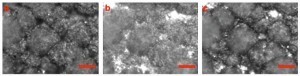 In-situ Abbildung des Verfahrens Zn plating/stripping auf der 3D Zn-Mn Oberfläche. a: vor der Zn-Beschichtung; b: nah 160s Beschichtung; c: nah 240s Stripping, Skala: 15 μm 