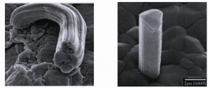 Beispiele von ‚whiskers‘ unter dem Mikroskop