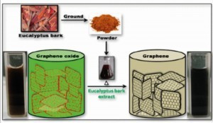 Abb. 5: Kostengünstiger Weg zu Graphen aus  Eukalyptusrinde   