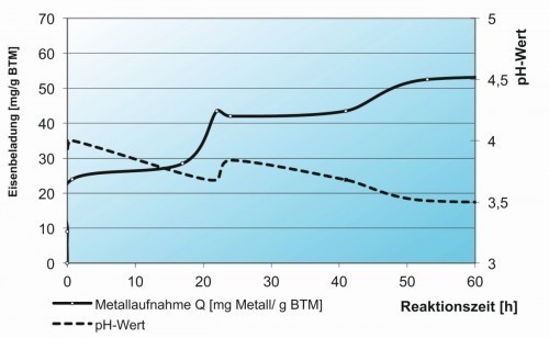 Abb. 6: Sorptionskinetik von Agaricus bisporus: verwendet wurden unbehandelte Champignonköpfe, die in ihrer Masse 1 g Biotrockenmasse entsprachen [8]