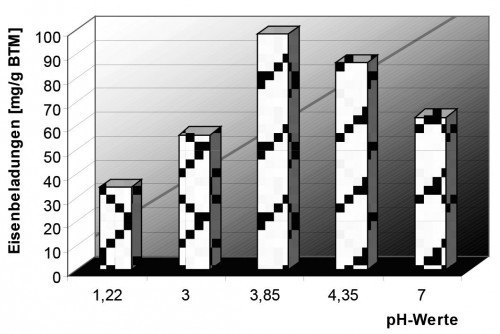 Abb. 7: Eisenbeladungen von Streptomyces cinnamoneum in Abhängigkeit von pH-Werten des voreingestellten Spülbades [8]