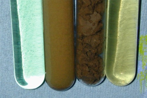 Abb. 9: Erfolg des Verfahrens: Werden ein beizsaures Eisenspülbad (ganz links) und Abfallbiomasse aus Fermentationen in Kontakt gebracht (2. von links), kann aufgrund von Biosorption ein Eisenschlamm (2. von rechts) und eine leicht-saure bis neutrale, eisenfreie Lösung erzeugt werden [8]