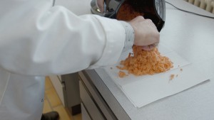 Dieser Trester aus Karotten kann später zu Cellulose-Material zur Beschichtung weiterverarbeitet werden