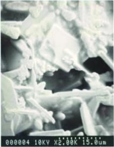Abb. 2: Rasterelektronenmikroskopische Aufnahmen der spröden AuSn4 Diffusionszone