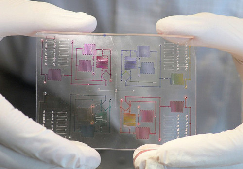 Abb. 3: An der TU Dresden werden neuartige auf Mikrofluidik basierende PCR Schnelltestsysteme entwickelt