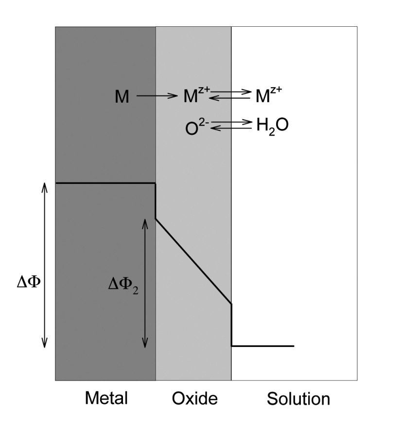 Abb. 2.: Schematische Darstellung der bei der Anodisierung einer Metalloberfläche des Metalls M ablaufenden Prozesse mit der zugehörigen Variation des Potentials über den Querschnitt 