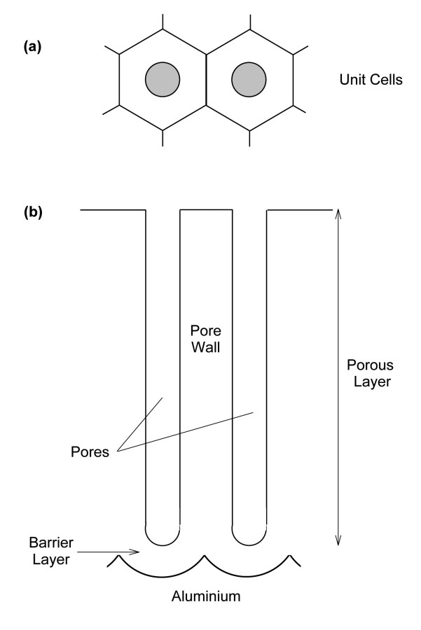 Abb. 3.: Idealisierte Struktur eines porösen Oxidfilms bei der Anodisierung: (a) Vogelperspektive mit der hexagonalen Wabenstruktur, (b) Querschnitt 