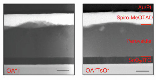 STEM-Aufnahme der gealterten Solarzellen. Links: OAI-behandelte und rechts: OATsO-behandelte Bauteilquerschnitte. Alle Skalenbalken stellen 200 nM dar