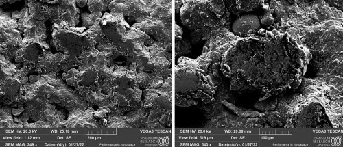 Abb. 4: REM-Analyse der bei 5 sccm C2H2 auf PA12 abgeschiedenen Schicht nach 1000 Lineartribologie-Zyklen