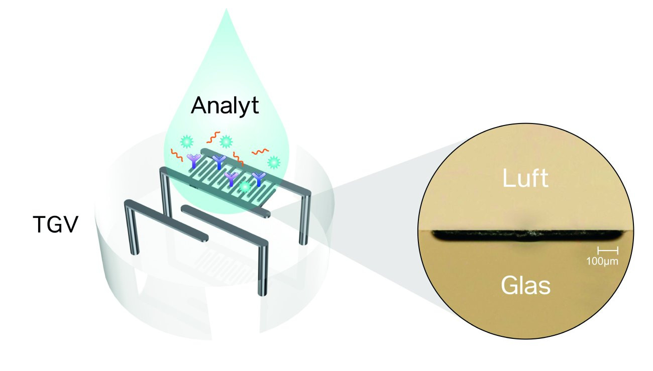 Möglicher Biosensor mit integrierten metallischen Strukturen in Glas für die Detektion von Enzymreaktionen oder Antigen-Antikörper-Interaktionen 
