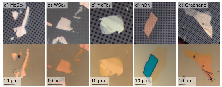Optische Mikrofotografien vor und nach dem Reverse-Transfer verschiedener 2D-Materialien. Oben: Elektronenstrahl-belichtetes 2D-Material auf einem TEM-Gitter vor dem Reverse-Transfer. Unten: 2D-Material, das erfolgreich auf ein Polystyrol-Substrat rückübertragen wurde (a) MoSe2, (b) WSe2, (c) MoTe2, (d) hBN und (e) Graphen