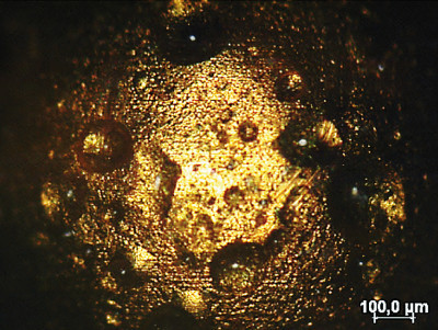 Goldschicht im Test. Bei der betreffenden Galvanik waren Tests  zur Ermittlung von Verfärbungen unauffällig (Foto: HS Ostwestfalen-Lippe)