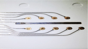 Abb. 1: Chemisches Elektrodenarray gedruckt mit biokompatibler Goldtinte; Bild: Cicor Group