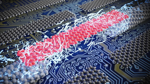 Gemeinsam mit einem internationalen Team an Forschenden haben Empa-Wissenschaftler erfolgreich einzelne atomar präzise Nanobänder mit Elektroden versehen (Bild: Empa)