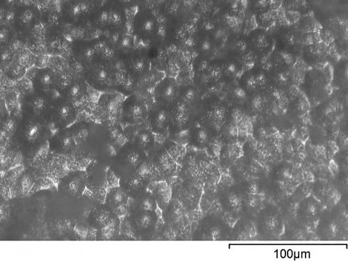 Fig. 3: Micrographs of alloys Co-W: а) direct current, b) pulse current (Q=2, f=400 Hz), c) pulse current (Q=6, f=20 Hz)