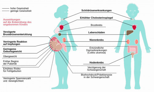 Abb. 3: Gesundheitliche Auswirkungen der Exposition gegenüber PFAS