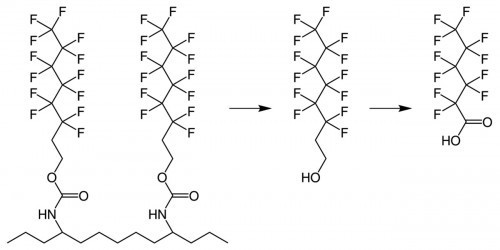 Abb. 4: Bei Seitenkettenfluorierten Polymeren können Fluortelomere durch Hydrolyse vom Polymerrückgrat abgelöst und zu Perfluorcarbonsäuren umgewandelt werden