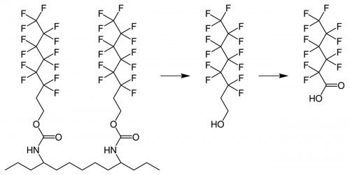 Abb. 4: Bei Seitenkettenfluorierten Polymeren können Fluortelomere durch Hydrolyse vom Polymerrückgrat abgelöst und zu Perfluorcarbonsäuren umgewandelt werden