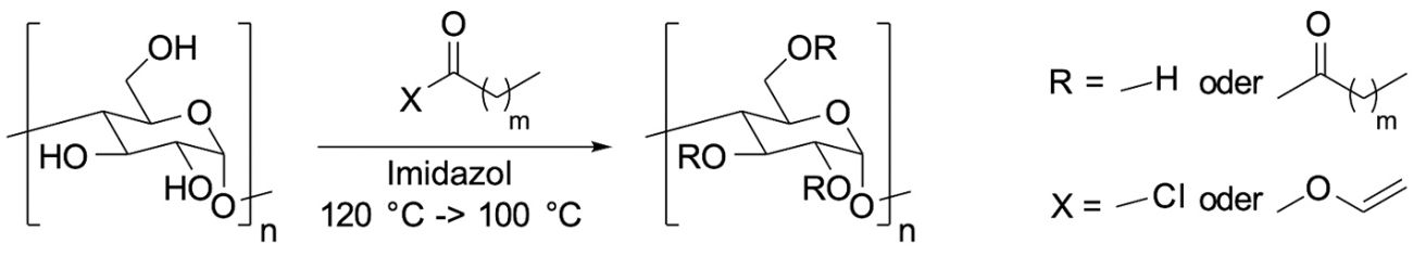 Abb. 4:  Synthese-Schema eines Stärkefettsäureesters  in Imidazol-Schmelze   