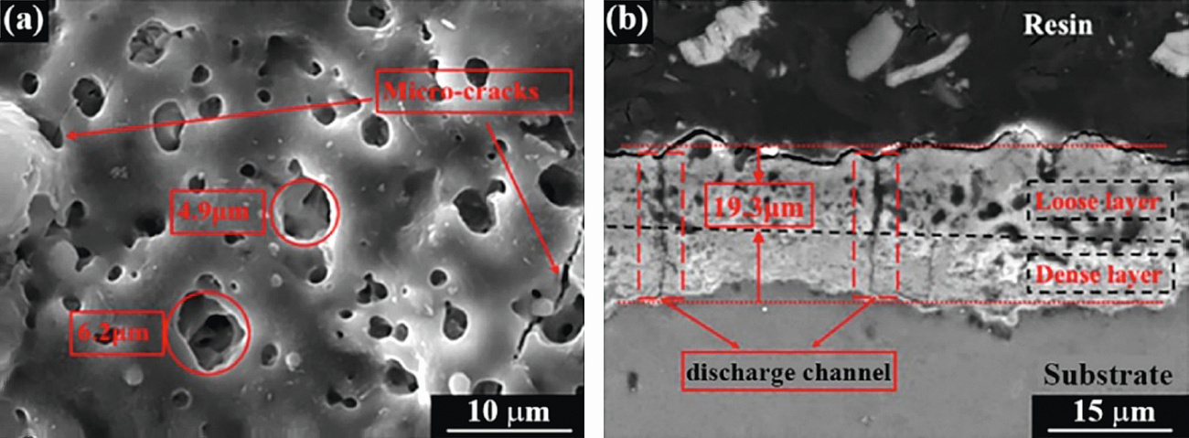 Fig. 6: (a) Surface and (b) cross-sectional morphology of MAO coatings  