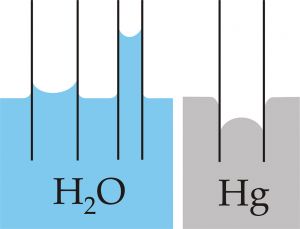Abb. 3: Steighöhe bei Benetzung/ Nicht-Benetzung am Beispiel Wasser/Glas und Quecksilber/Glas