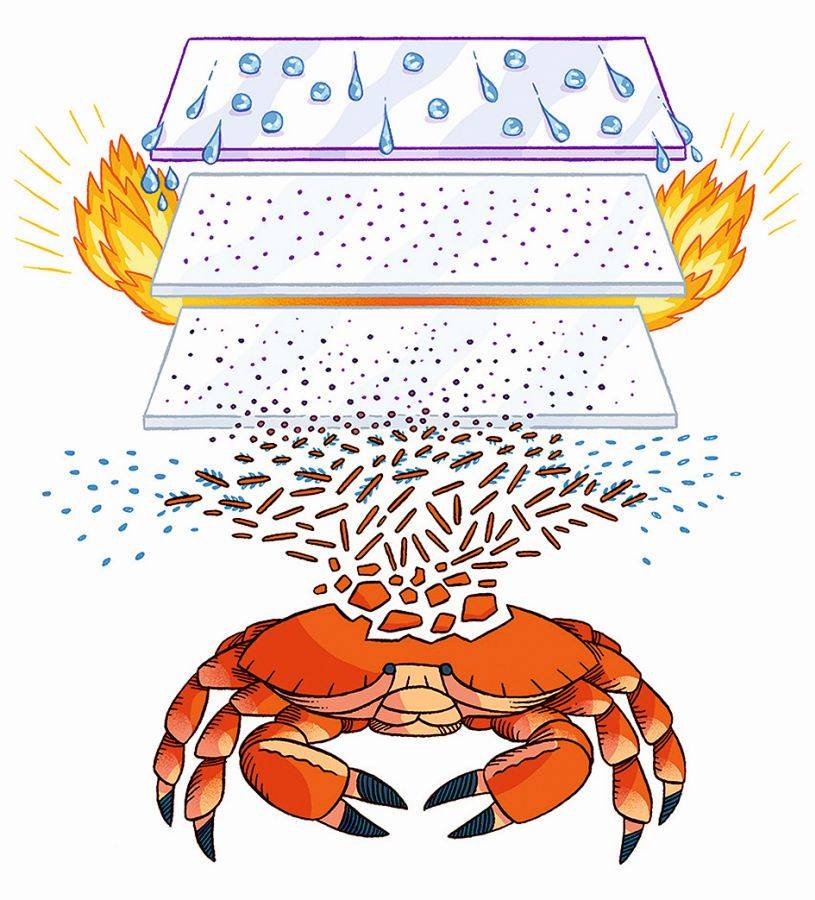 Abb.: 1. Die Idee einer PFAS-freien hydrophoben Beschichtung auf Chitosanbasis: Chitosan wird aus Chitin gewonnen, dem zweithäufigsten Polysaccharid der Erde, das aus Abfällen der Aquakultur gewonnen wird. Chitosan wird mit Stearoylketten modifiziert, und eine lösungs­mittelfreie thermische Behandlung verankert die Beschichtung auf dem Glassubstrat. Das Ergebnis ist ein beschichtetes Glas mit einstellbaren Eigenschaften: transparent und hydrophob oder undurchsichtig und superhydrophob. 