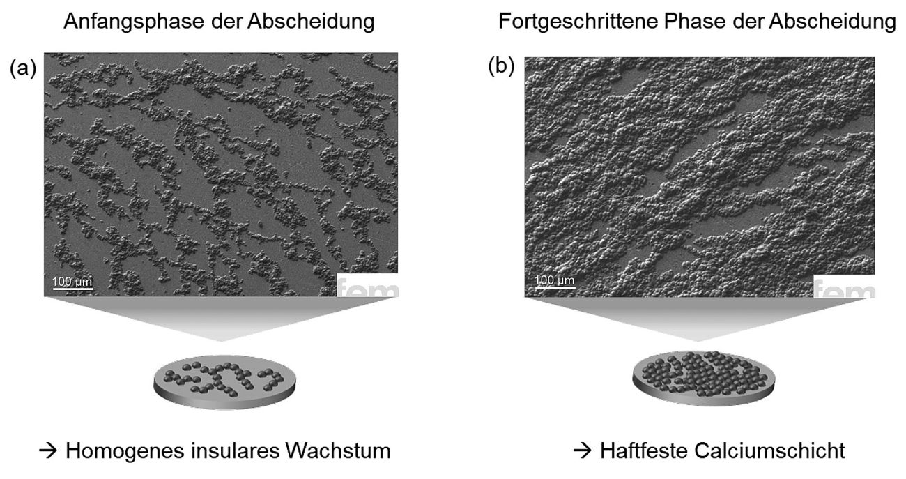 Abb. 3: REM-Aufnahmen elektrochemisch abgeschiedener Calcium-Schichten mit Ca(BH4)2 in THF: Die feine, gleichmäßig verteilte Morphologie deutet auf eine verbesserte Keimbildung hin. Im Vergleich zur chemischen Vorbehandlung führt der vorgelagerte Polierprozess des Substrates zu homogenerem Wachstum und stärkerer lateraler Vernetzung, begünstigt durch strukturierte Oberflächen und elektrolytinduzierte Strömung