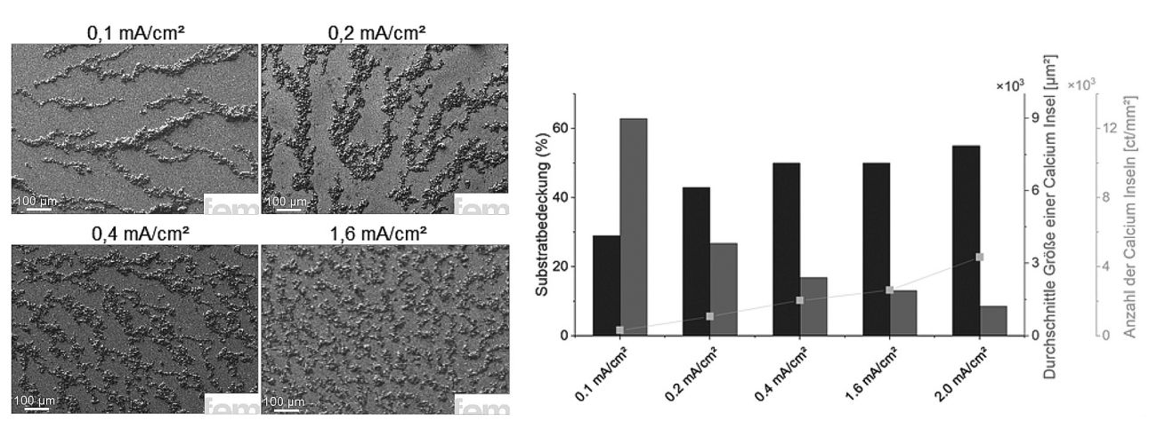 Abb. 4: Einfluss der Stromdichte auf die Morphologie abgeschiedener Calcium-Schichten: Höhere Stromdichten fördern die Keimbildung und führen zu verbesserter Flächenbedeckung. Gleichzeitig steigt jedoch das Risiko elektrolytbedingter Nebenreaktionen, ein ausgewogenes Prozessfenster ist entscheidend für eine homogene, stabile Calcium-Abscheidung